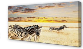 Obraz na płótnie Stado Zebr o Zachodzie Słońca