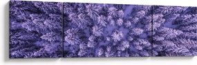 Obraz ośnieżonych drzew (170x50 cm)