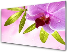 Panel Kuchenny Botaniczna Elegancja Kwiatu