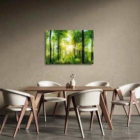 Obraz na szkle - Świt w lesie (70x50 cm)