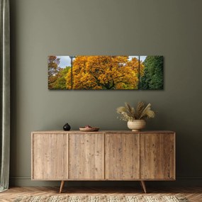 Obraz drzewa (170x50 cm)