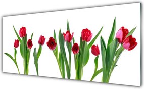 Szkło Ozdobne do Kuchni Barwna Kompozycja Tulipanów