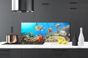 Panel Kuchenny Kolorowe Życie Rafy Koralowej