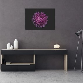 Obraz na szkle - fioletowy kwiat (70x50 cm)