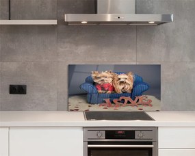 Szklany Panel Urocze Pieski Rasy York