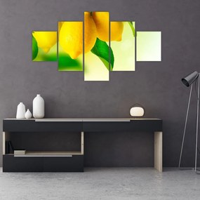 Obraz cytryn (125x70 cm)