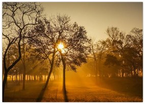 Obraz na szkle - Wschód słońca (70x50 cm)