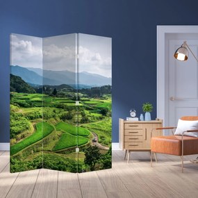 Parawan - Pole ryżowe (126x170 cm)