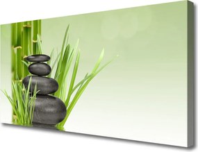 Obraz canvas Świeżość Zielonego Bambusa