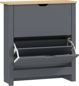 HOMCOM Szafka na buty z 2 klapowymi przegrodami, regulowana przegroda na 8-12 par butów, 72 x 26 x 80 cm, Ciemnoszary | Aosom PL