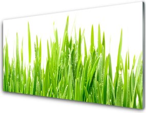 Szkło Ozdobne do Kuchni Poranna Rosa Na Trawie