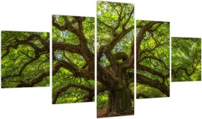 Obraz - Zielone drzewo (125x70 cm)