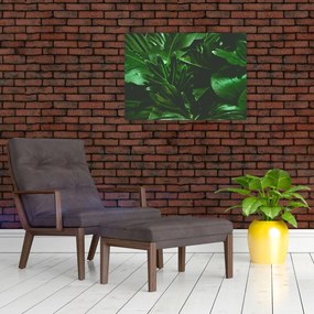 Obraz - Liście palmowe (70x50 cm)