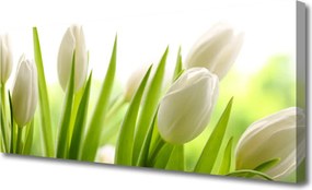 Obraz canvas na ścianę Tęczowy Dywan Tulipanów