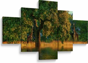 Obraz żyraf w naturze (125x70 cm)