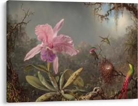 Obraz - Martin Johnson Heade, Cattleya Orchid and Three Hummingbirds, reprodukcje (70x50 cm)