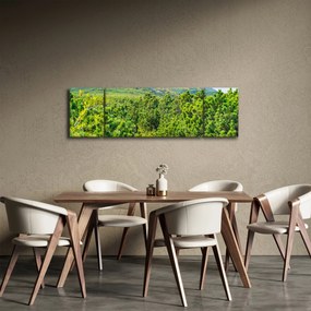 Obraz - Babia Góra, Polska (170x50 cm)