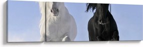 Obraz - Konie zimą (170x50 cm)