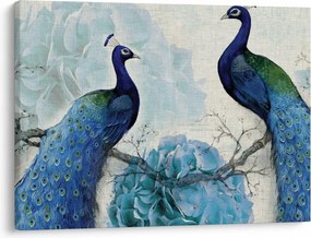 Obraz - Pawie tekstury (70x50 cm)
