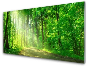 Obraz Szklany Las dróżka Drzewa Natura
