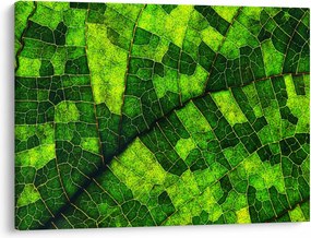 Obraz - Detal liścia (70x50 cm)