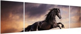 Obraz - Konie (170x50 cm)