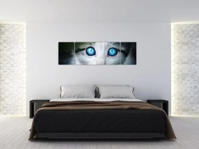 Obraz kota (170x50 cm)