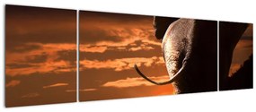 Obraz słonia (170x50 cm)