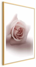 Plakat Różany cień 60x90 cm z ramą złotą z marginesem ARTGEIST B