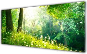 Dekor Szklany do Kuchni Sielska Zielona Łąka