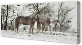 Obraz na płótnie Zimowy Las i Jednorożce