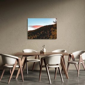 Obraz na szkle rudzików nad wzgórzem (70x50 cm)