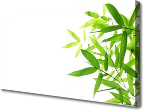 Obraz canvas na ścianę Tekstura Zielonego Liścia