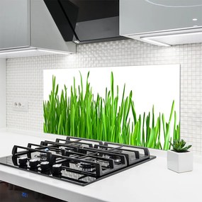Panel Kuchenny Szum Traw Na Wietrze