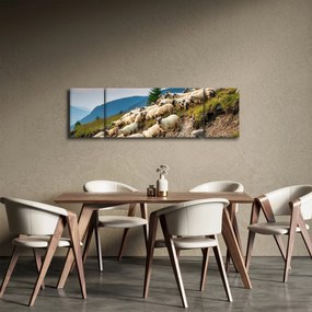 Obraz - Stado owiec (170x50 cm)