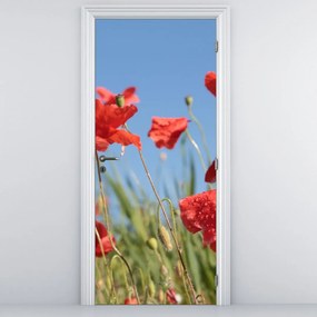 Fototapeta na drzwi - Maki (95x205cm)