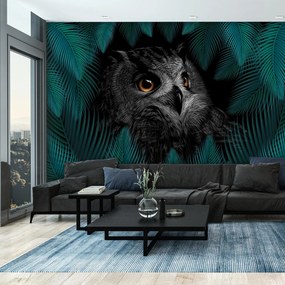 Fototapeta - Sowa (196x136 cm)