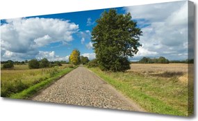 Obraz na płótnie Wiejska Droga z Kostki
