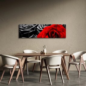 Obraz - Róże (170x50 cm)
