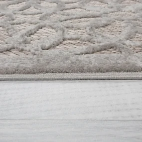 Szary dywan odpowiedni na zewnątrz 230x160 cm Argento – Flair Rugs