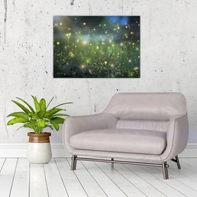 Obraz na szkle - Magiczna noc (70x50 cm)