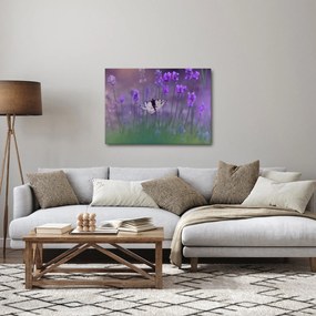 Obraz - Motyl w lawendach (70x50 cm)