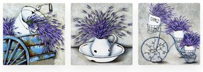 Obrazy zestaw 3 szt. 30x30 cm Lavender – Wallity