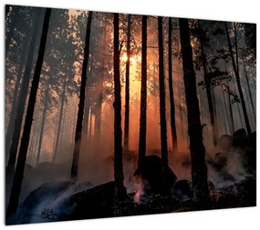 Obraz na szkle - ciemny las (70x50 cm)