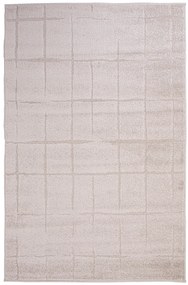 Dywan Elena Nowoczesny dywan FR2541 160x230 Prostokąt