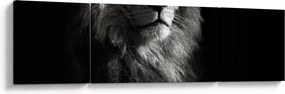 Obraz - Lew (170x50 cm)
