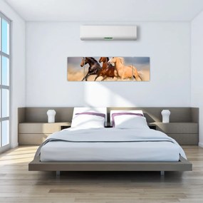 Obraz - Dzikie konie (170x50 cm)