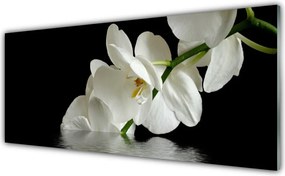 Panel nad blat kuchenny Orchidea Zanurzona w Wodzie