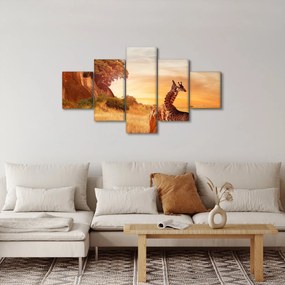 Obraz - Żyrafy w Afryce (125x70 cm)