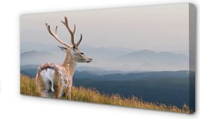 Duży obraz na płótnie Jeleń na Tle Gór